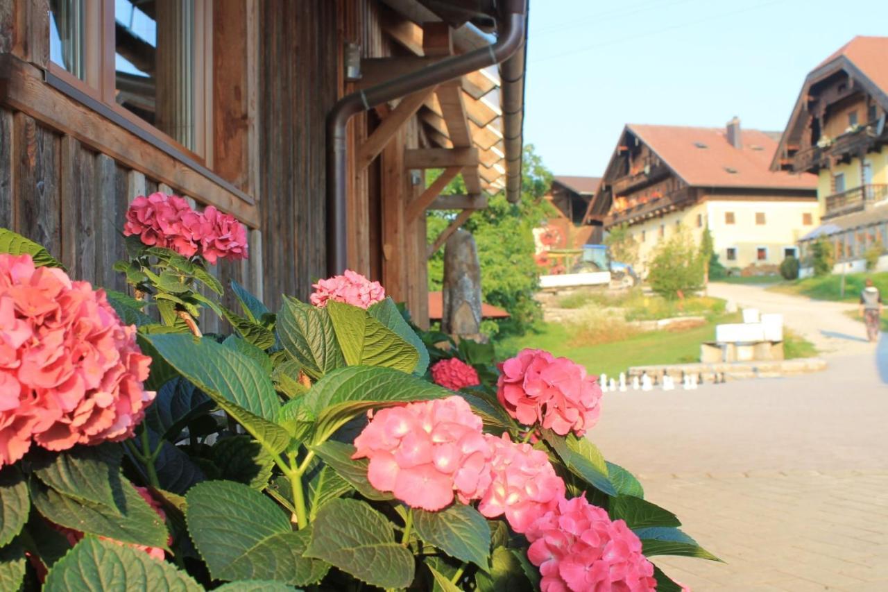 Apartamento Bio Archehof Zachhiesen Seekirchen am Wallersee Exterior foto