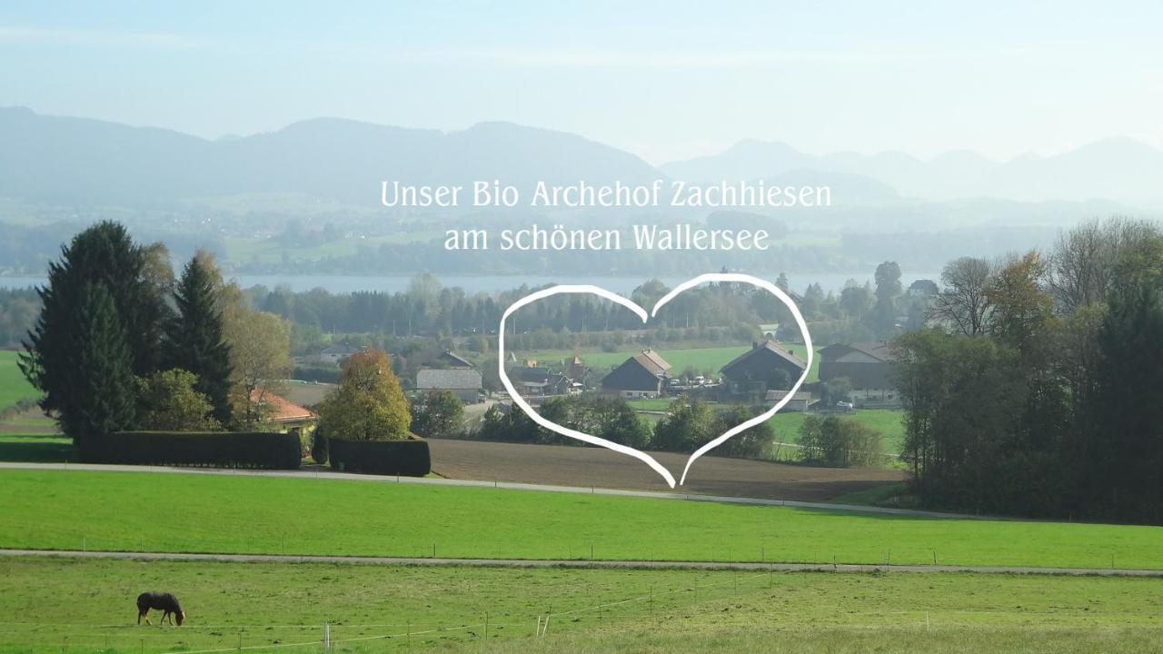Apartamento Bio Archehof Zachhiesen Seekirchen am Wallersee Exterior foto